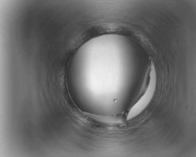 X0000067480509200604281923