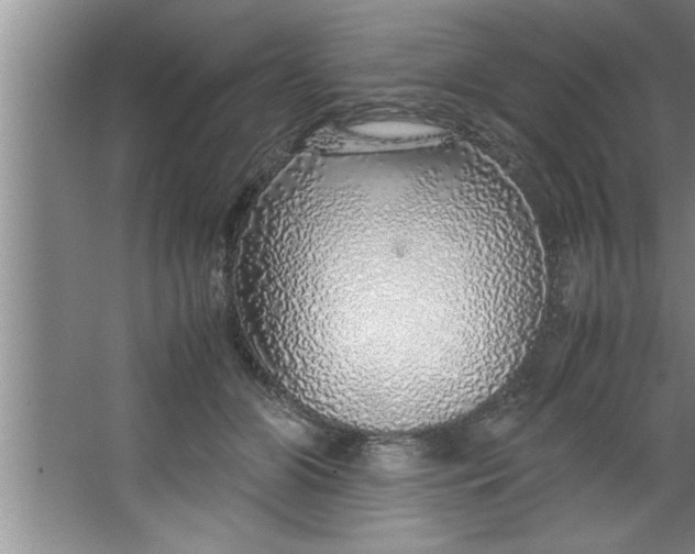 X0000067480510200604281923