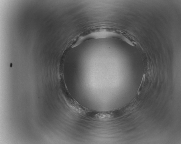 X0000067480512200604281923