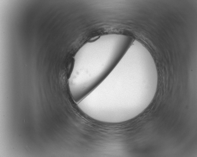 X0000067480513200604281923