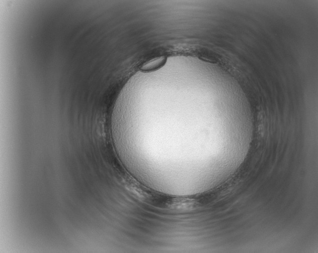 X0000067480514200604281923