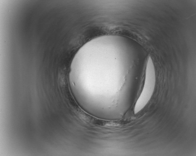 X0000067480515200604281923