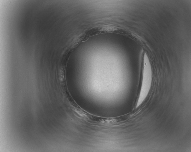 X0000067480517200604281923