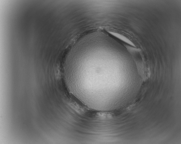 X0000067480520200604281923