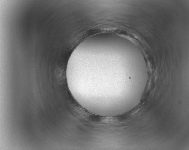 X0000067480521200604281923