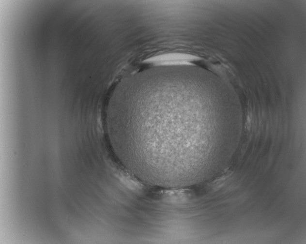 X0000067480524200604281923