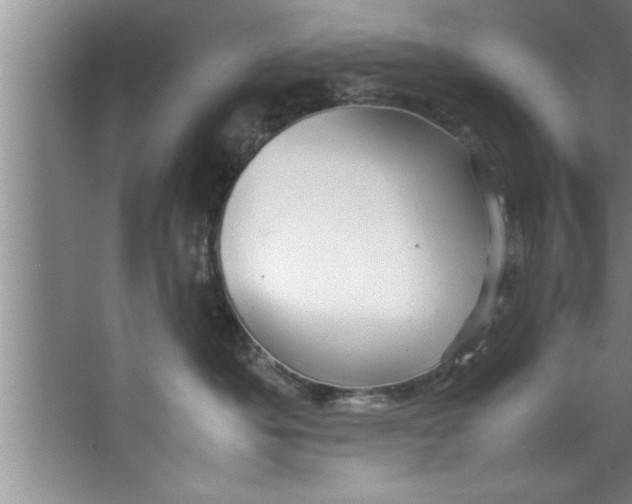 X0000067480525200604281923