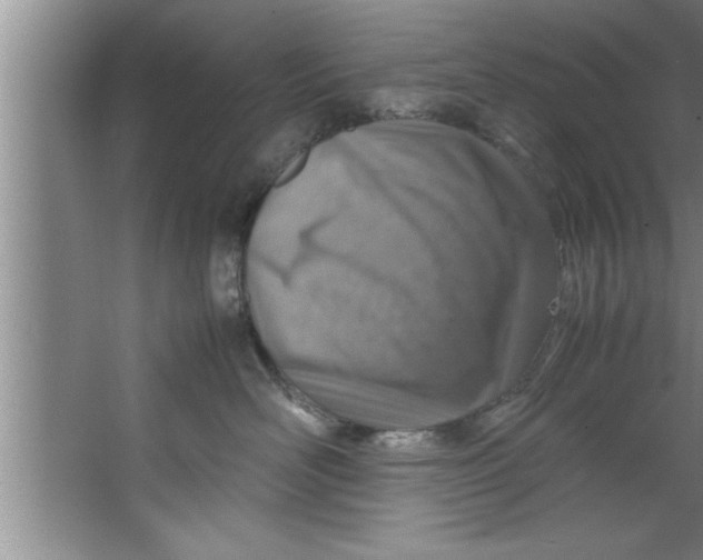 X0000067480526200604281923