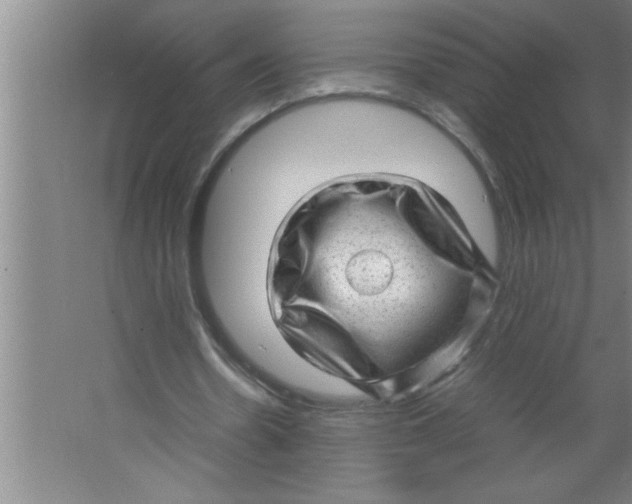 X0000067480530200604281922