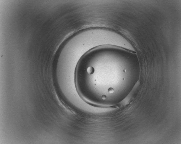 X0000067480534200604281922