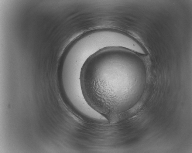 X0000067480535200604281922