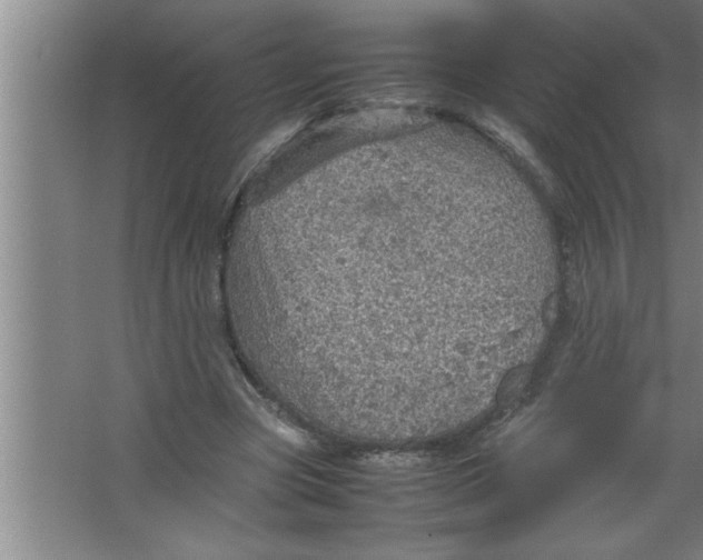 X0000067480537200604281922