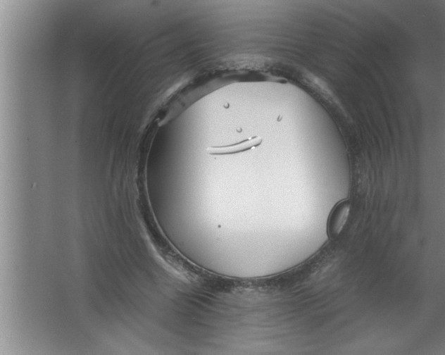 X0000067480538200604281922