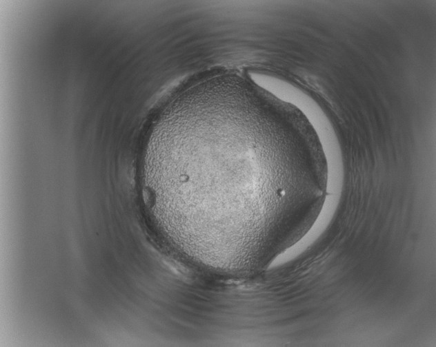 X0000067480539200604281923