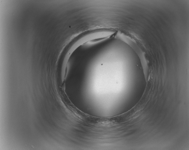 X0000067480540200604281923