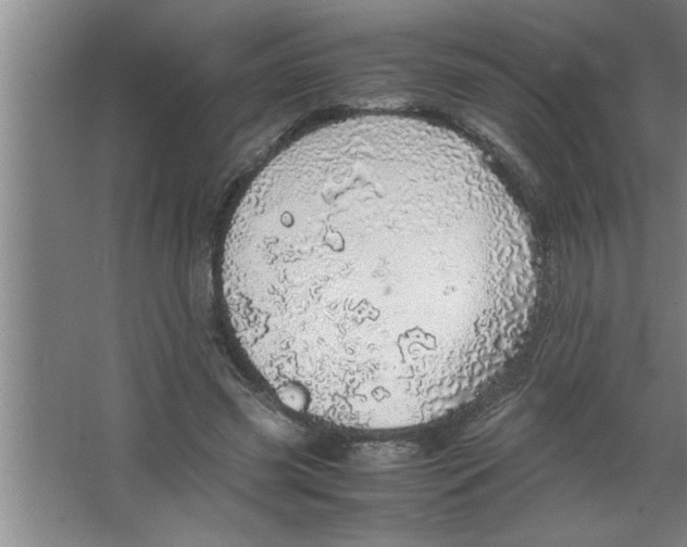 X0000067480541200604281923