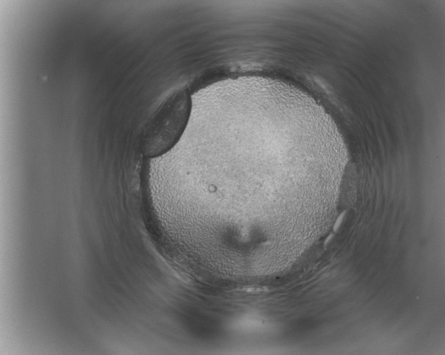 X0000067480543200604281923