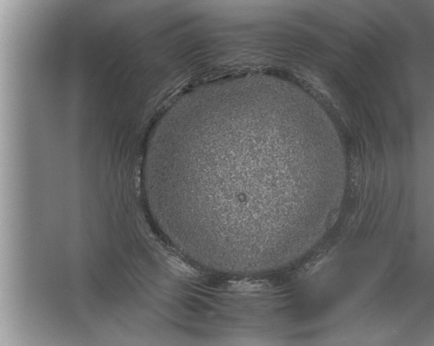 X0000067480545200604281923