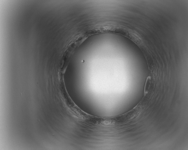 X0000067480546200604281923