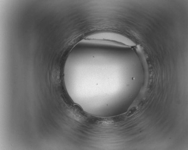 X0000067480548200604281923