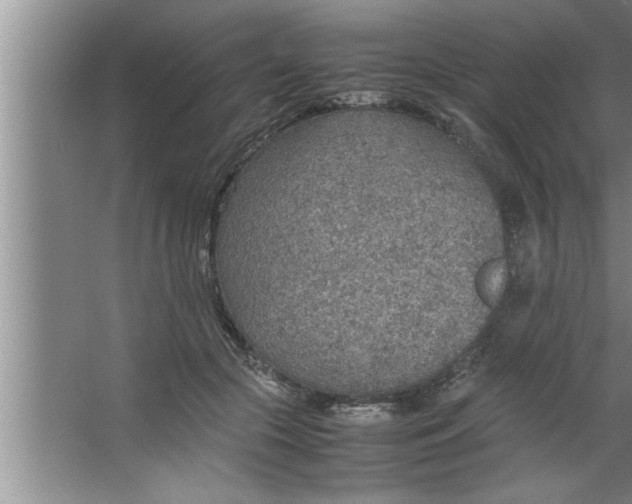 X0000067480553200604281923