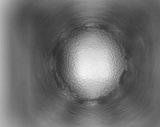 X0000067480554200604281923