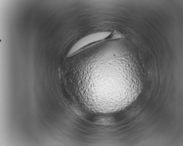 X0000067480555200604281923