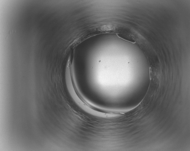 X0000067480556200604281923