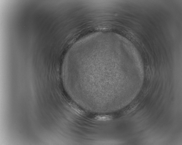 X0000067480557200604281923