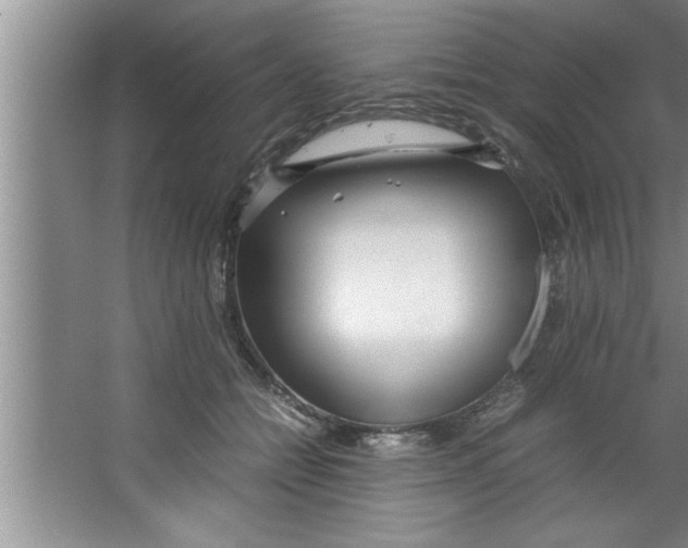 X0000067480558200604281923