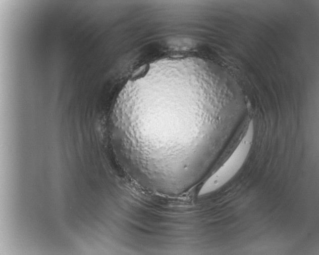 X0000067480559200604281923