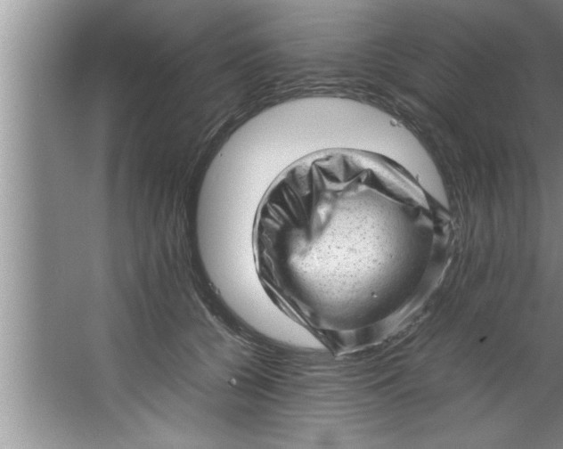 X0000067480560200604281923