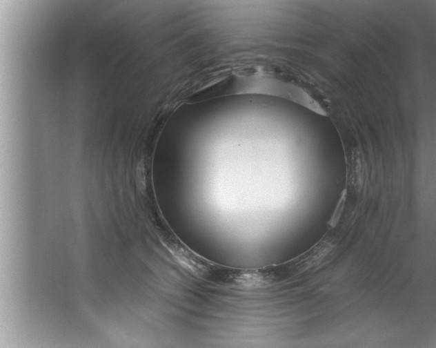 X0000067480562200604281923