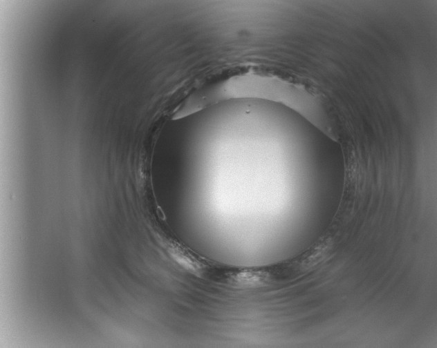 X0000067480566200604281923