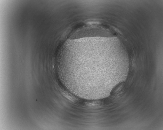 X0000067480567200604281923