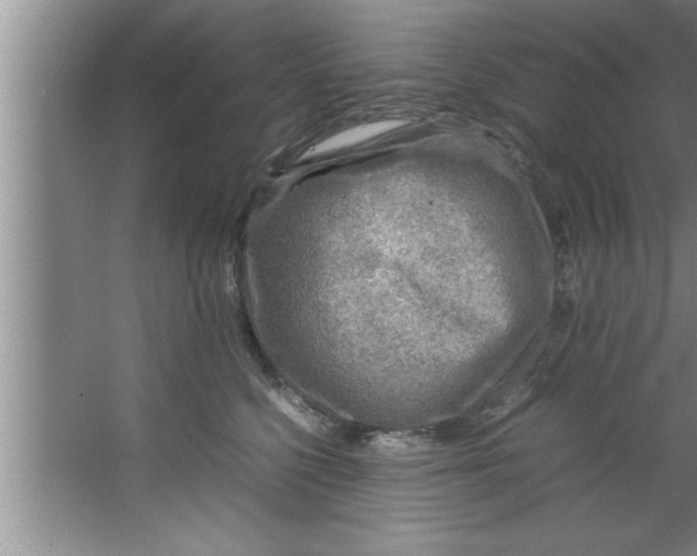 X0000067480568200604281923