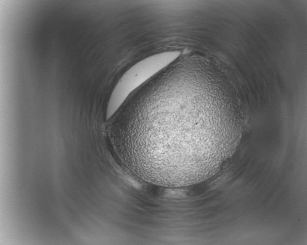 X0000067480573200604281923