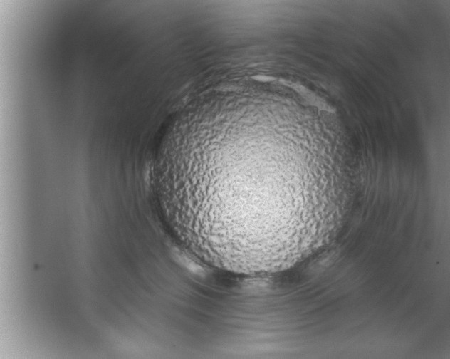 X0000067480574200604281923