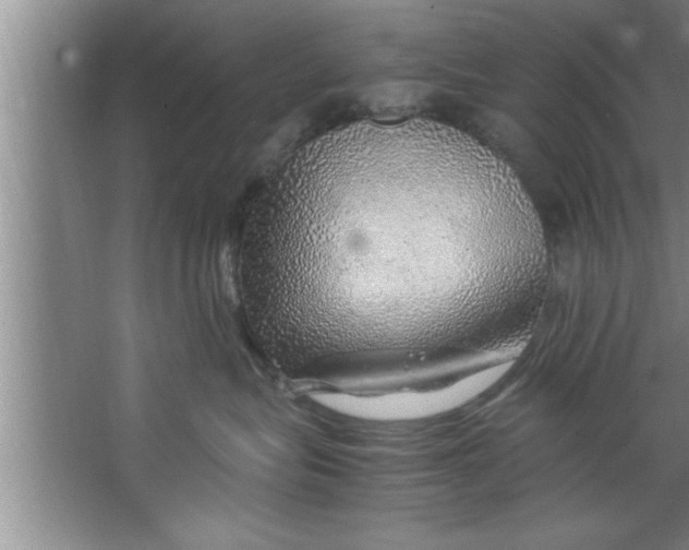 X0000067480575200604281923