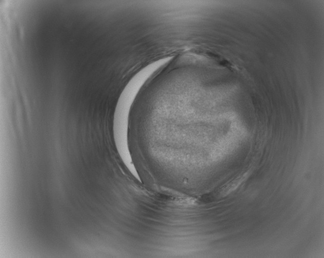 X0000067480576200604281923