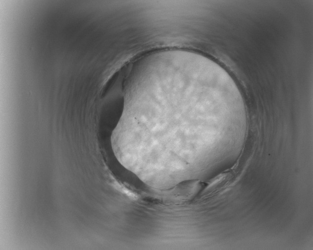 X0000067480577200604281922