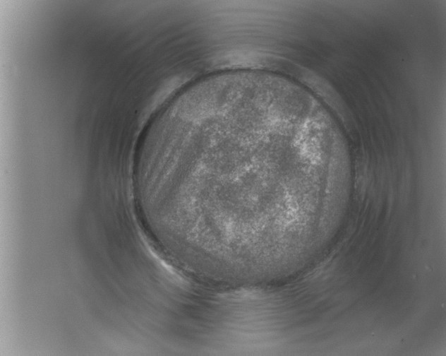 X0000067480578200604281922