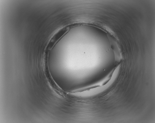 X0000067480580200604281922