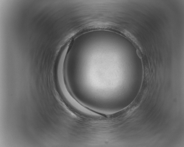 X0000067480581200604281922