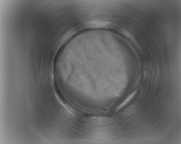 X0000067480582200604281922