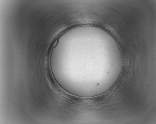 X0000067480583200604281922