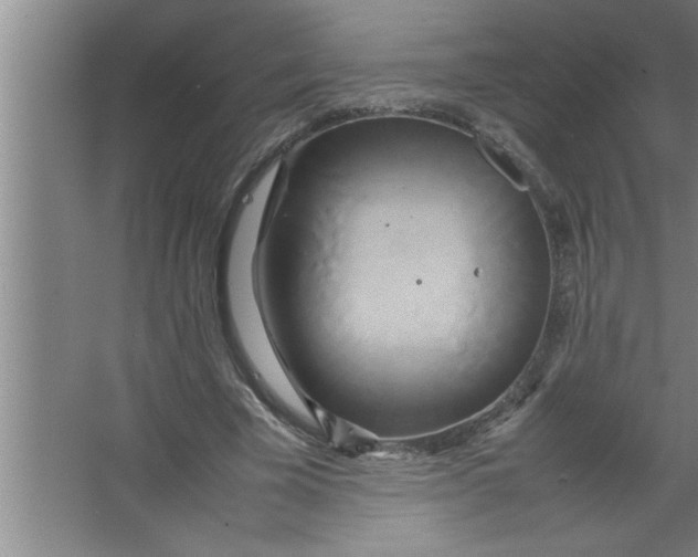 X0000067480585200604281922