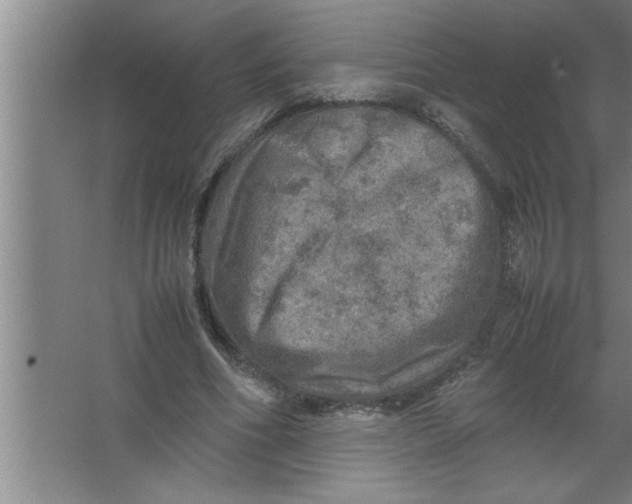 X0000067480586200604281922