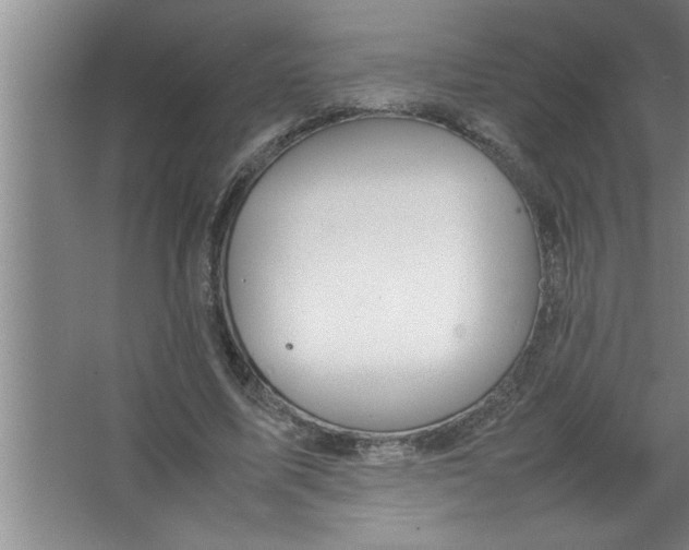 X0000067480587200604281922