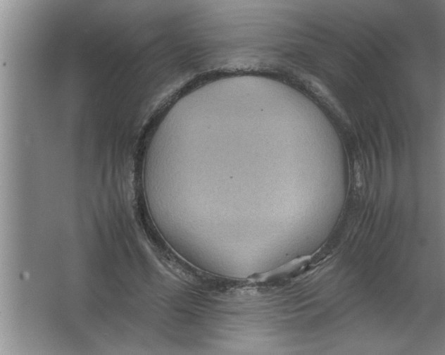 X0000067480588200604281922